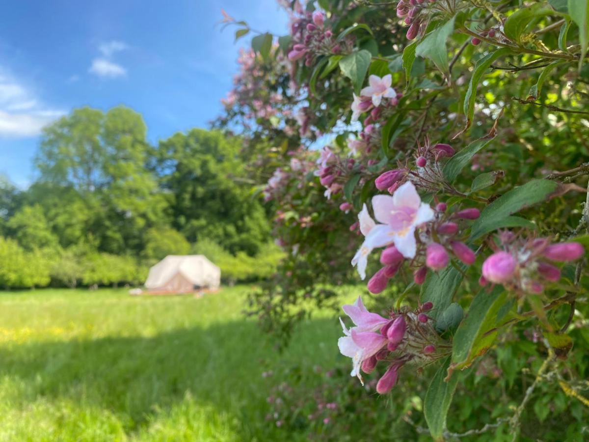 Green Glamping Sønderborg Exterior foto